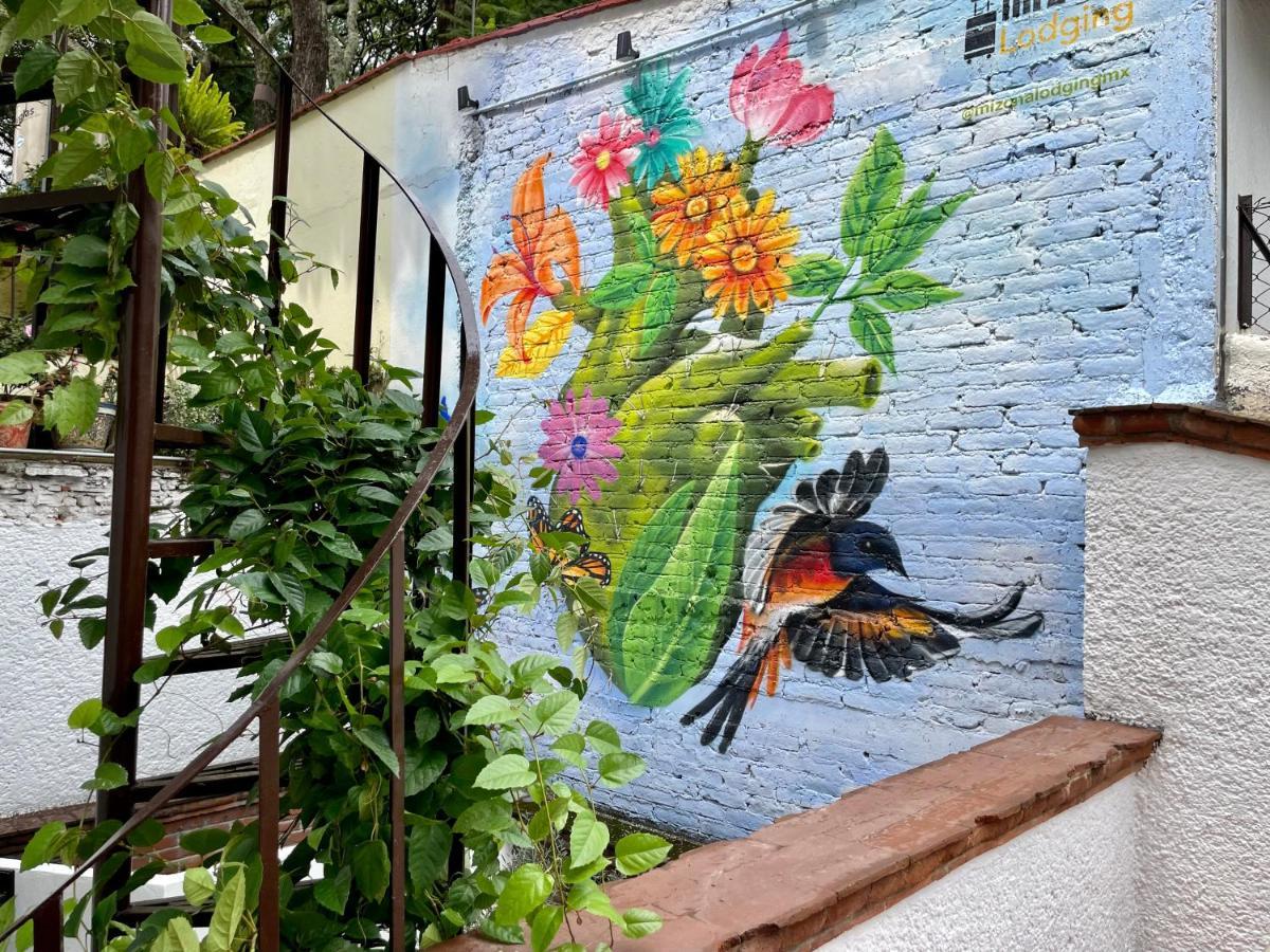 Mi Zona Lodging Coyoacan مدينة مكسيكو المظهر الخارجي الصورة