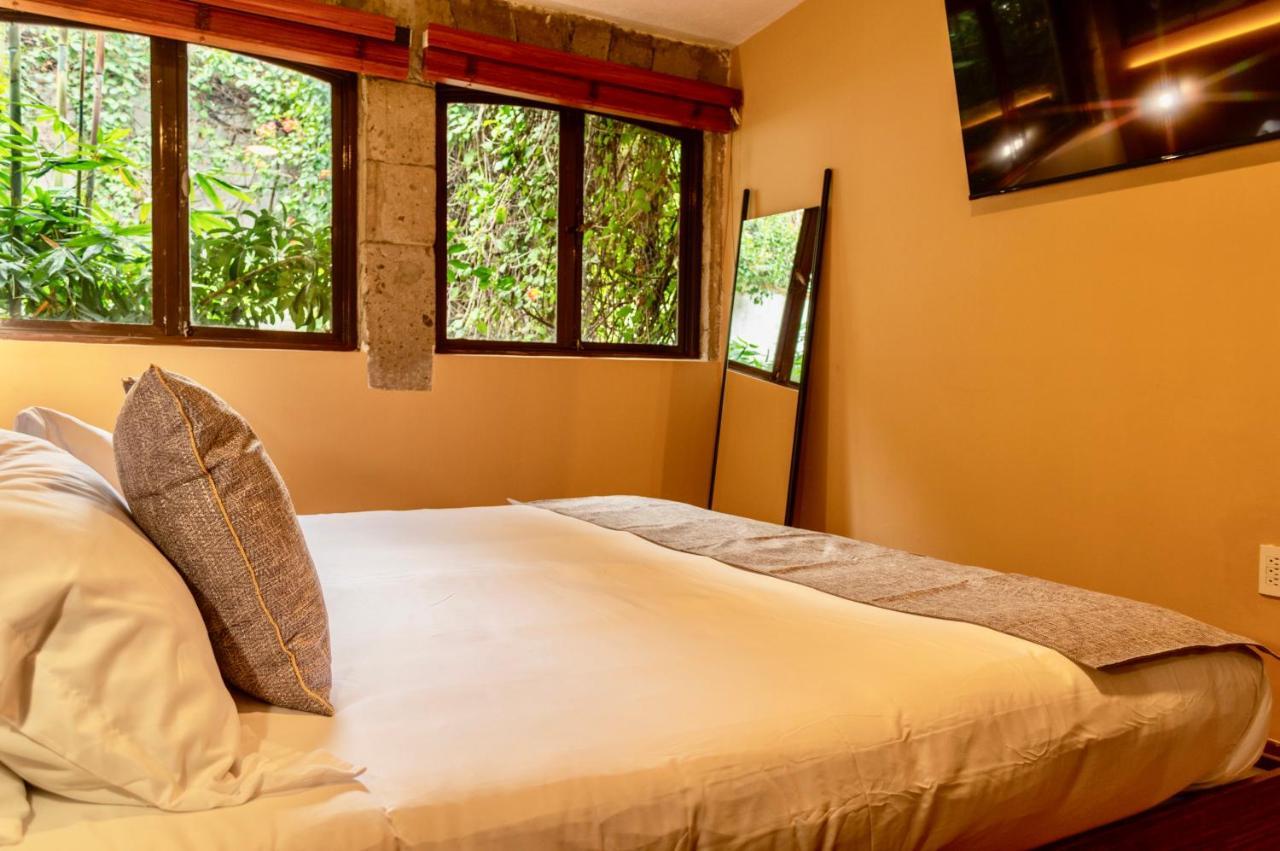 Mi Zona Lodging Coyoacan مدينة مكسيكو المظهر الخارجي الصورة