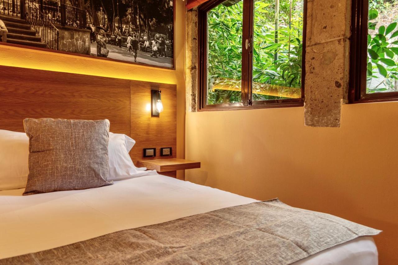 Mi Zona Lodging Coyoacan مدينة مكسيكو المظهر الخارجي الصورة